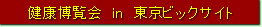 健康博覧会模様